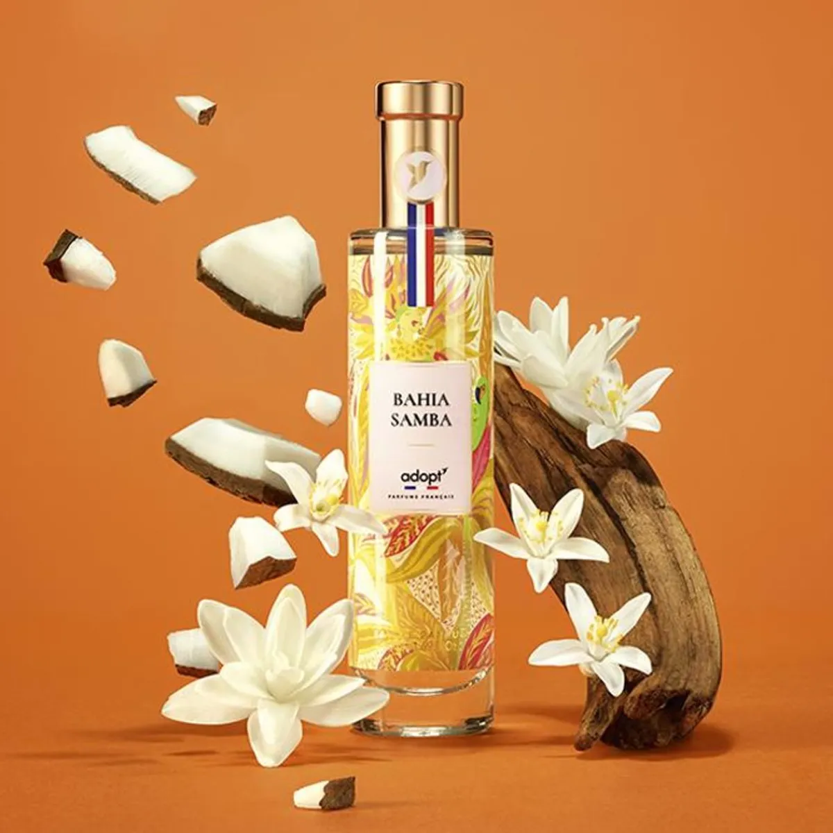 bahia_samba_3.webp Adopt Bahia Samba^ Solar