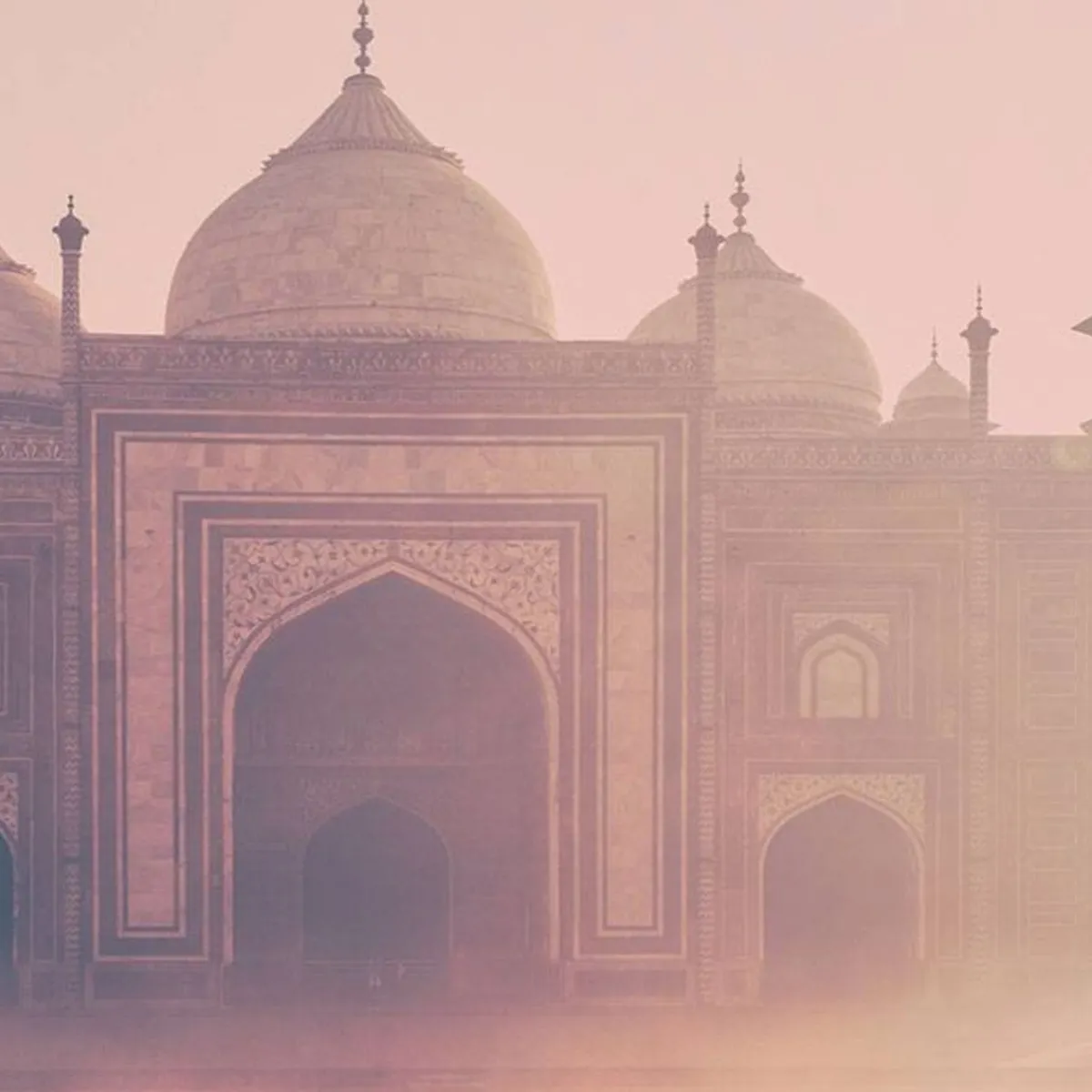 bombay_chic_3.webp Adopt Bombay Chic^ Woody