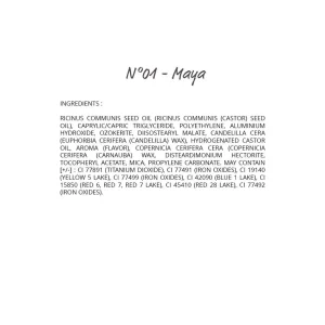 Adopt Lip & Kiss^ Lipstick