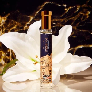 Adopt Nuit Parisienne^ Woody