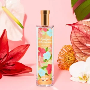 Adopt Quelques Mots D'Amour^ Quelques Mots D'Amour