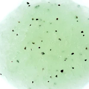 Adopt Verveine Fizz^ Exfoliating